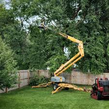 Best Lot and Land Clearing  in East Lansdowne, PA