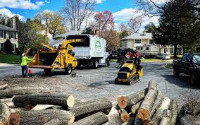 Best Lawn Maintenance Plans  in East Lansdowne, PA